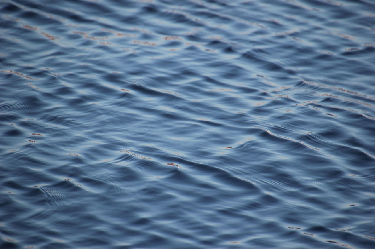 Fond marin RevoSea pour la page blog