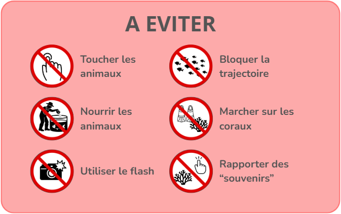 Comportements à éviter