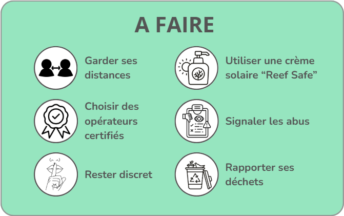 Comportements à adopter