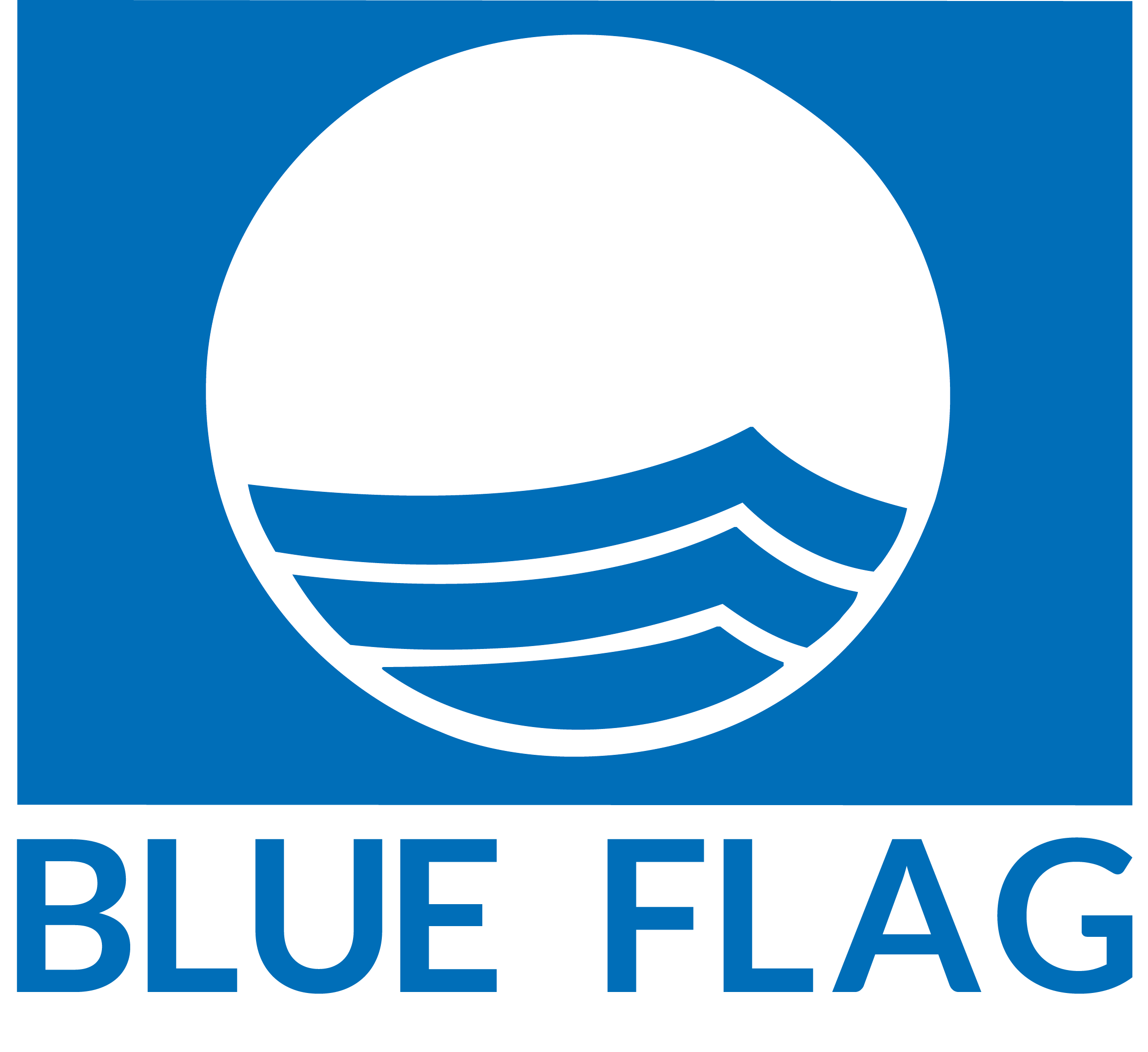 Logo Blue Flag
