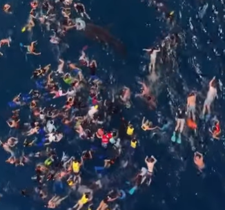 Tourisme de masse {index}